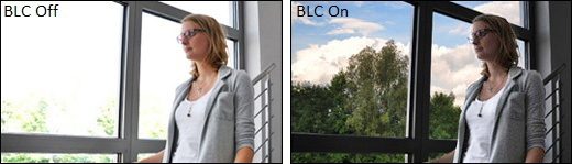 GV-MFD2501-1F - Kamery kopułkowe IP GV-MFD2501-1F - Kamery kopułkowe IP