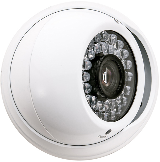 Kamera kopukowa IR LED LC-SZ46Q